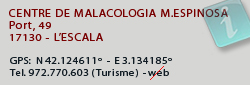 Centre de Malacologia Matilde Espinosa, L'Escala