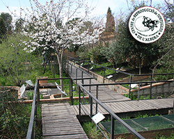 Centre Reproducció de Tortugues de l'Albera, Garriguella