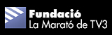 Marató TV3